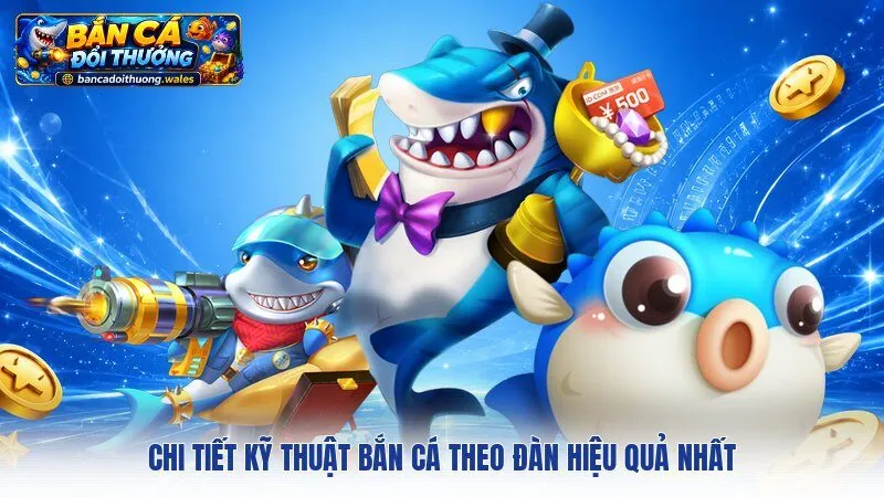 Chi tiết kỹ thuật bắn cá theo đàn hiệu quả nhất