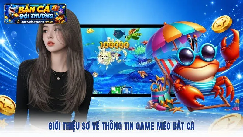 Giới thiệu sơ về thông tin game Mèo Bắt Cá