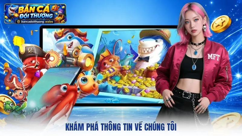 Khám phá thông tin về chúng tôi